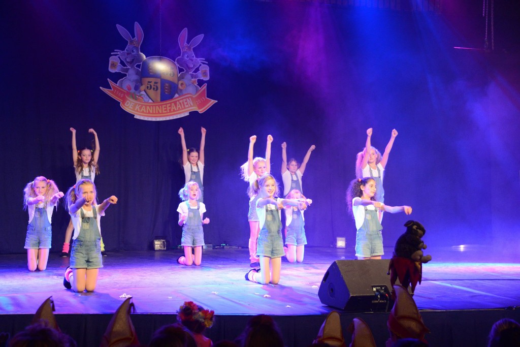 ../Images/Dansmarieke festival 2015 296.jpg